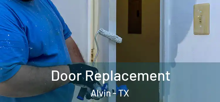 Door Replacement Alvin - TX