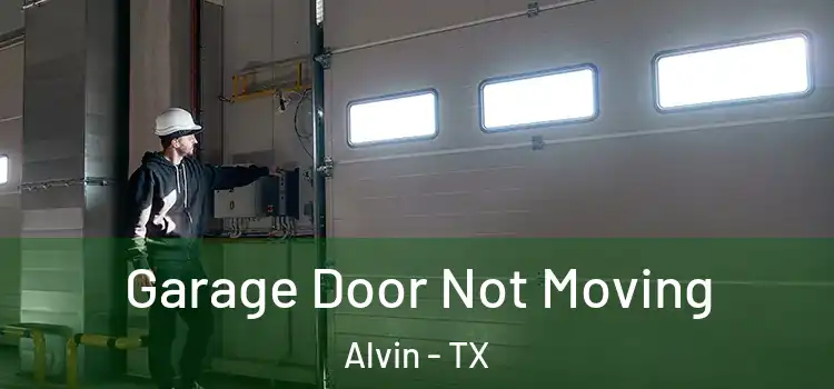  Garage Door Not Moving Alvin - TX