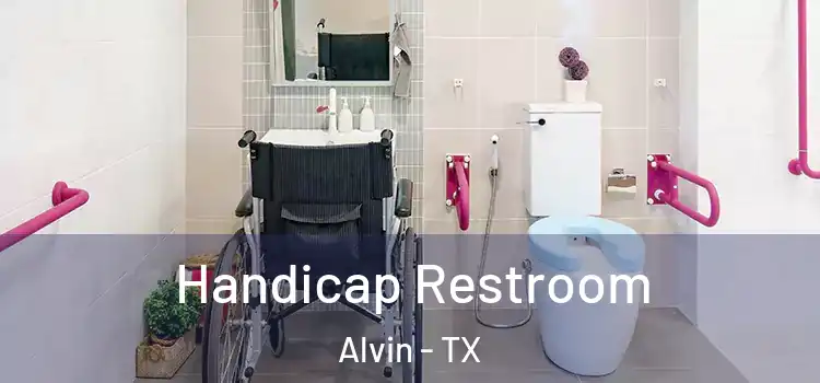 Handicap Restroom Alvin - TX