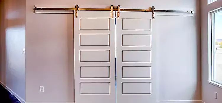 Glass Barn Door with Installation Hardware Kit Alvin