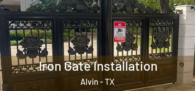 Iron Gate Installation Alvin - TX