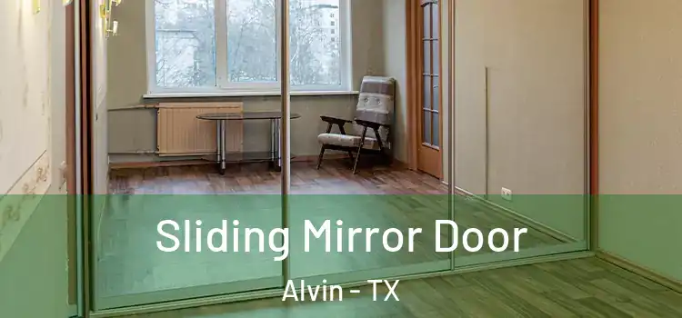  Sliding Mirror Door Alvin - TX